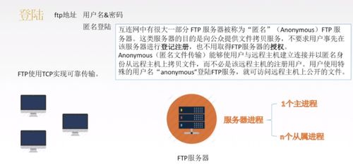 計算機網絡應用層 技術開發與服務實現